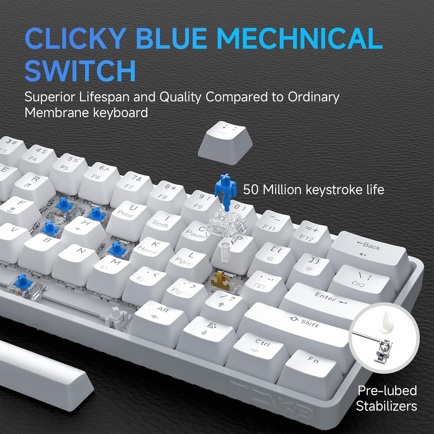 TMKB T61SE 60% Mechanical Gaming Keyboard, Clicky Blue Switch, LED Backlit, Double-Shot keycap, Anti-Ghosting, Detachable USB-C, Wired Computer Keyboard for Windows Laptop PC Gamer Typist, White